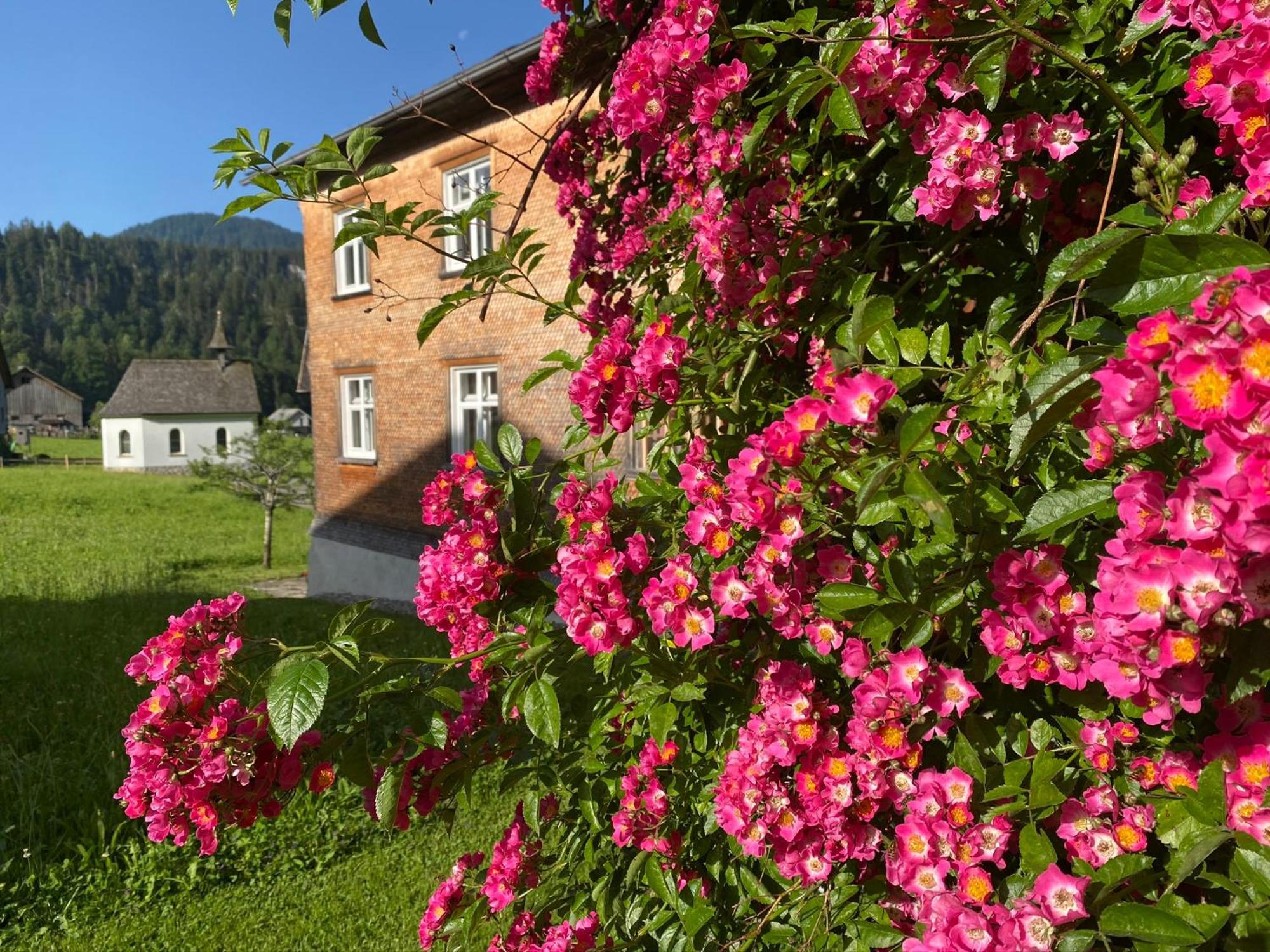 Bregenzerwaelderhaus Ambros Villa Bezau Kültér fotó